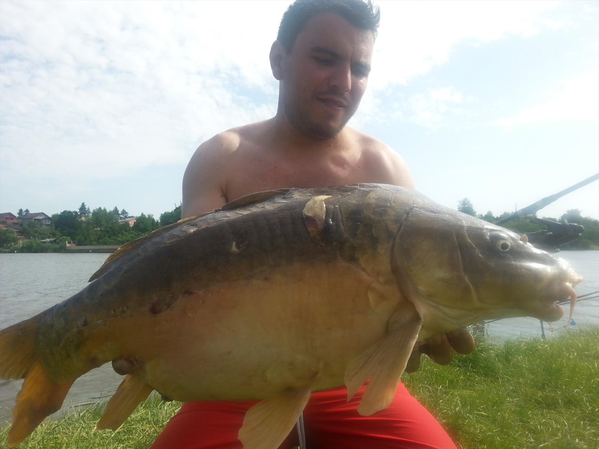 Moara Vlasiei 2 22 - 23 mai 2015 - 201505231634141.jpg